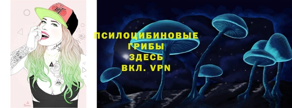 ПСИЛОЦИБИНОВЫЕ ГРИБЫ Абинск