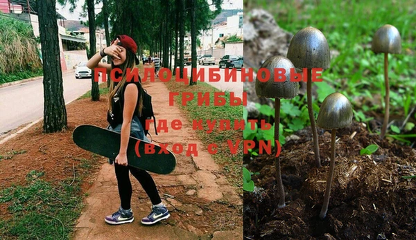 эйфоретик Ростов