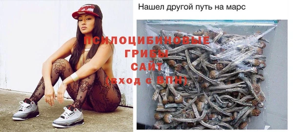 дмт Абаза
